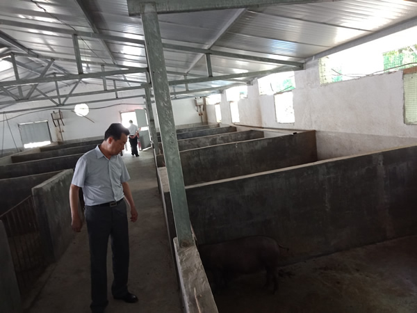 隴運集團(tuán)公司深入寧強村開展迎“七一” 幫扶主題實踐活動