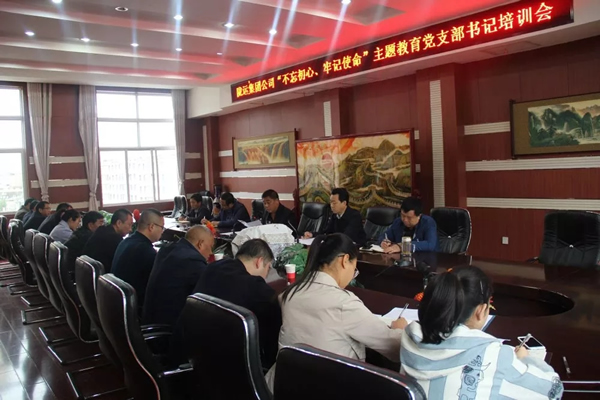 隴運(yùn)集團(tuán)公司召開“不忘初心、牢記使命”主題教育黨支部書記培訓(xùn)會