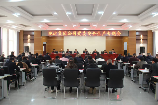 隴運(yùn)集團(tuán)公司黨委召開(kāi)2025年經(jīng)濟(jì)運(yùn)行專題會(huì)議和安全生產(chǎn)專題會(huì)議